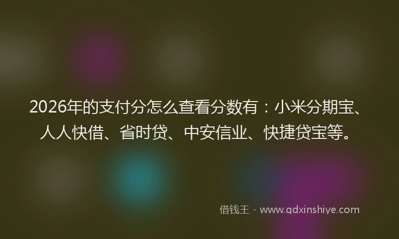 2026年的支付分怎么查看分数有：小米分期宝、人人快借、省时贷、中安信业、快捷贷宝等。