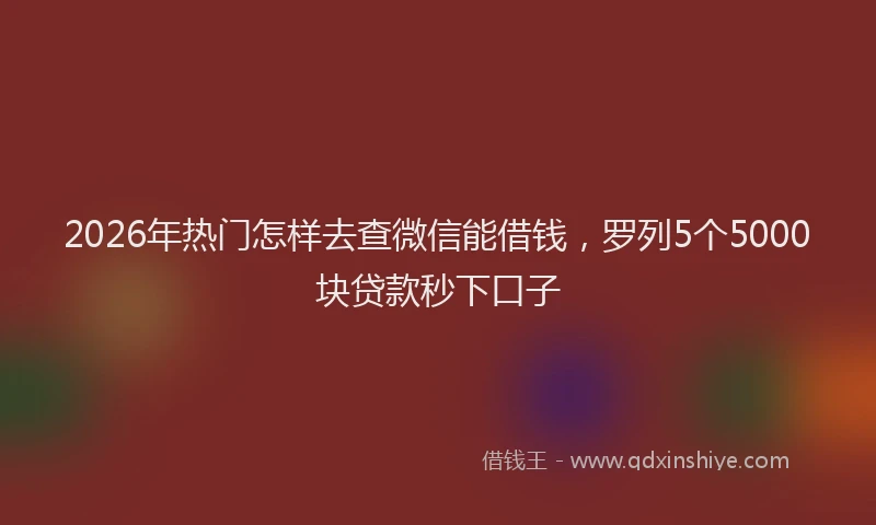 2026年热门怎样去查微信能借钱，罗列5个5000块贷款秒下口子