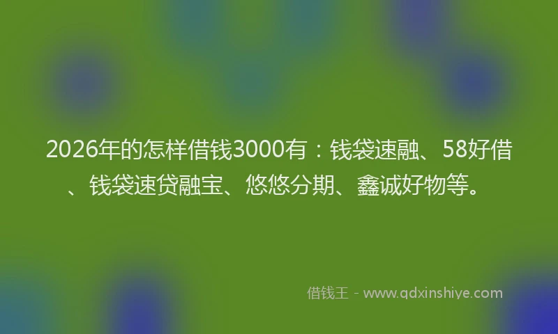 2026年的怎样借钱3000有：钱袋速融、58好借、钱袋速贷融宝、悠悠分期、鑫诚好物等。
