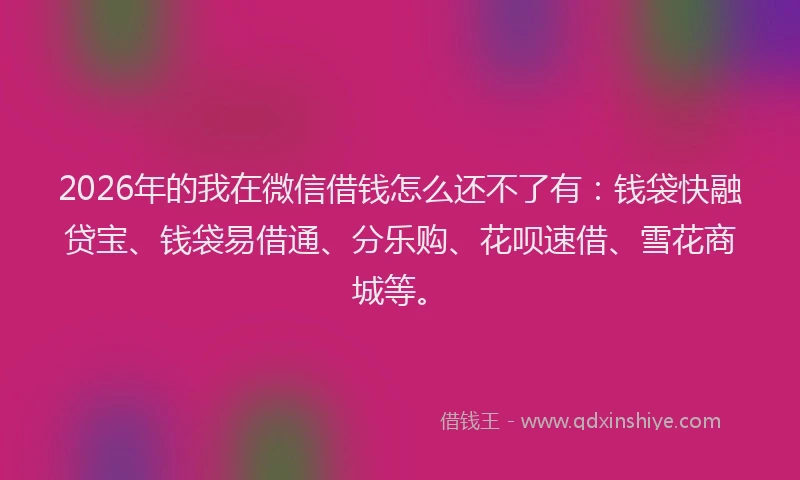 2026年的我在微信借钱怎么还不了有：钱袋快融贷宝、钱袋易借通、分乐购、花呗速借、雪花商城等。
