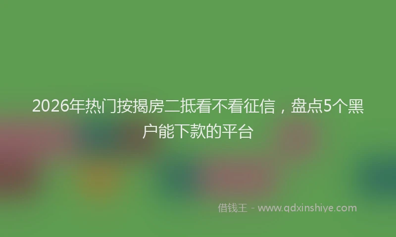 2026年热门按揭房二抵看不看征信，盘点5个黑户能下款的平台