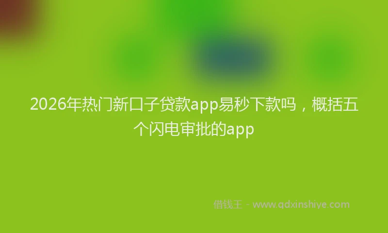 2026年热门新口子贷款app易秒下款吗，概括五个闪电审批的app