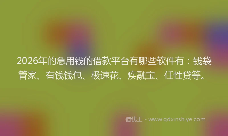 2026年的急用钱的借款平台有哪些软件有:钱袋管家、有钱钱包、极速花、疾融宝、任性贷等。