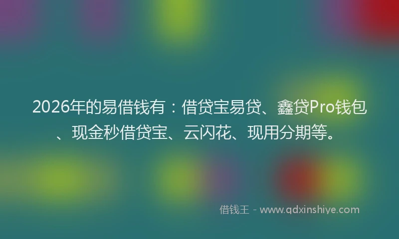 2026年的易借钱有：借贷宝易贷、鑫贷Pro钱包、现金秒借贷宝、云闪花、现用分期等。