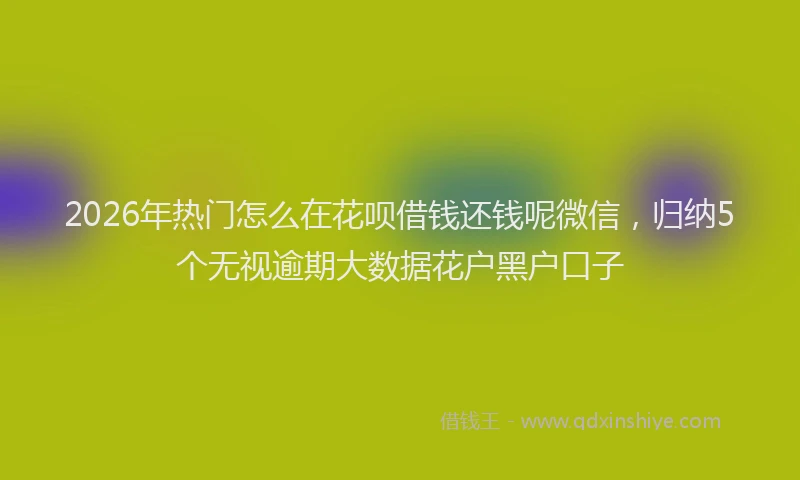 2026年热门怎么在花呗借钱还钱呢微信，归纳5个无视逾期大数据花户黑户口子