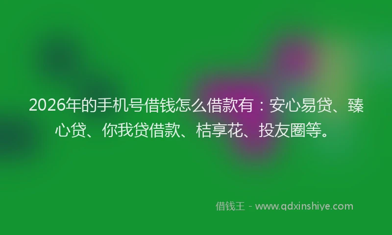 2026年的手机号借钱怎么借款有：安心易贷、臻心贷、你我贷借款、桔享花、投友圈等。