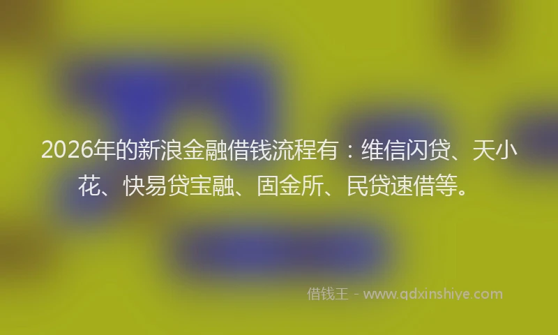 2026年的新浪金融借钱流程有：维信闪贷、天小花、快易贷宝融、固金所、民贷速借等。