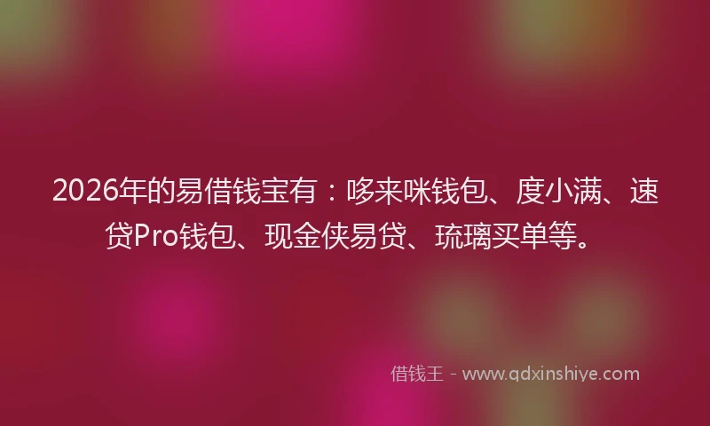 2026年的易借钱宝有:哆来咪钱包、度小满、速贷Pro钱包、现金侠易贷、琉璃买单等。