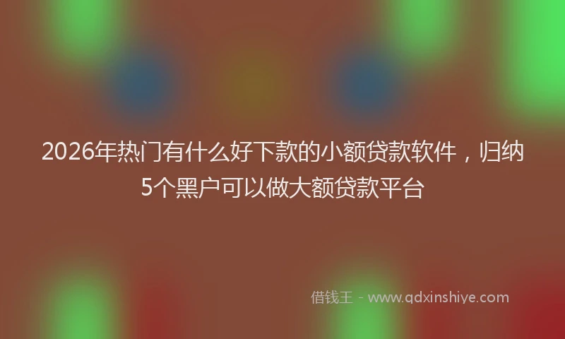 2026年热门有什么好下款的小额贷款软件，归纳5个黑户可以做大额贷款平台