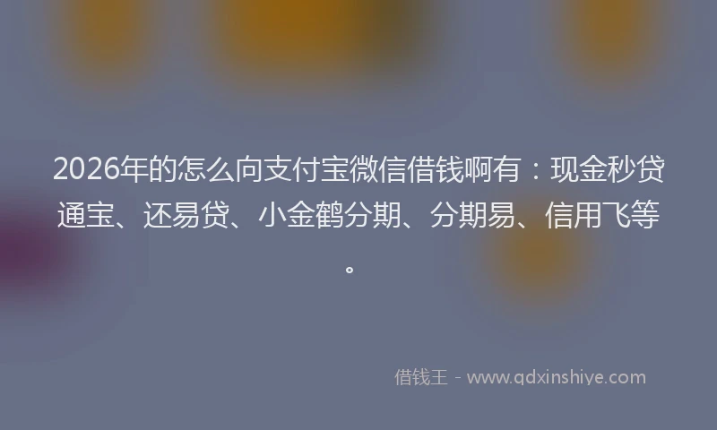 2026年的怎么向支付宝微信借钱啊有：现金秒贷通宝、还易贷、小金鹤分期、分期易、信用飞等。