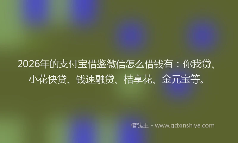 2026年的支付宝借鉴微信怎么借钱有：你我贷、小花快贷、钱速融贷、桔享花、金元宝等。