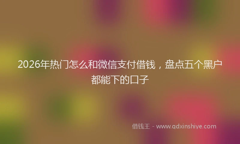 2026年热门怎么和微信支付借钱，盘点五个黑户都能下的口子