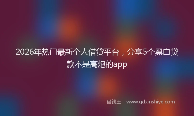 2026年热门最新个人借贷平台，分享5个黑白贷款不是高炮的app