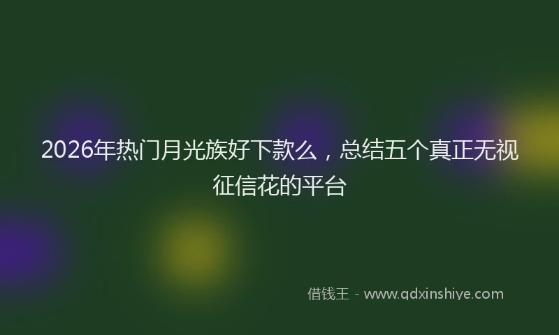 2026年热门月光族好下款么,总结五个真正无视征信花的平台