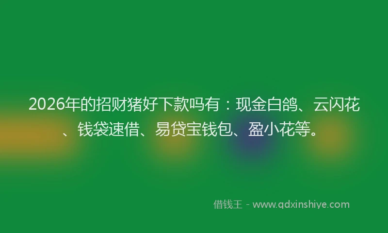 2026年的招财猪好下款吗有：现金白鸽、云闪花、钱袋速借、易贷宝钱包、盈小花等。
