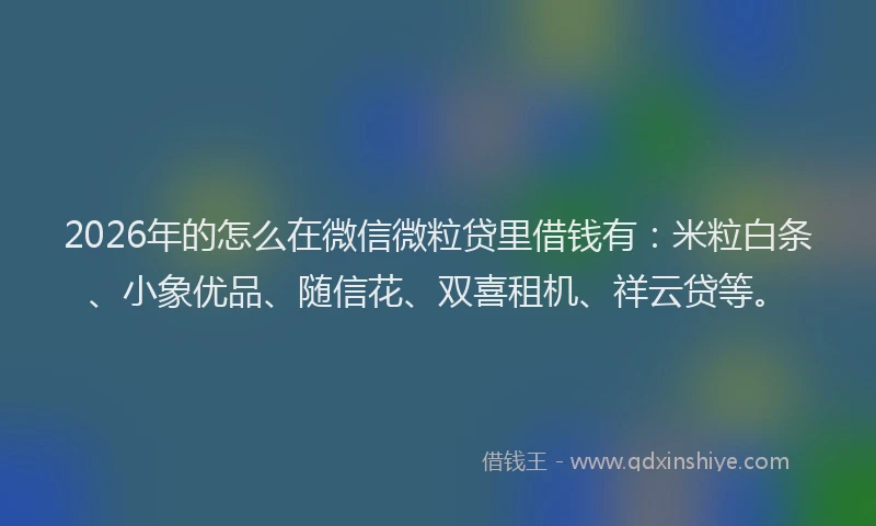 2026年的怎么在微信微粒贷里借钱有：米粒白条、小象优品、随信花、双喜租机、祥云贷等。