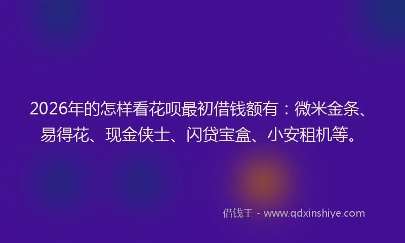 2026年的怎样看花呗最初借钱额有：微米金条、易得花、现金侠士、闪贷宝盒、小安租机等。
