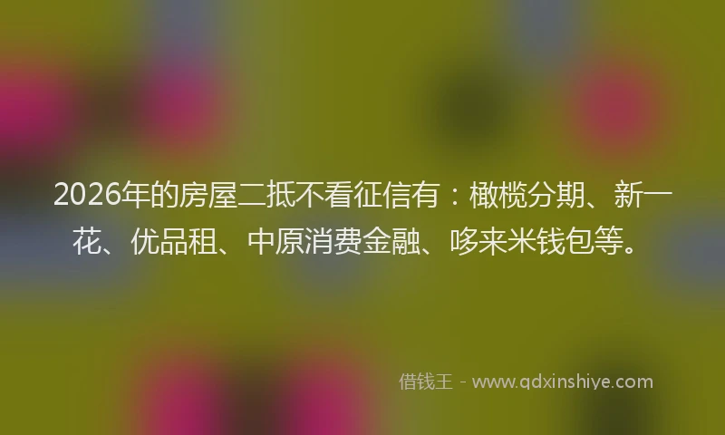2026年的房屋二抵不看征信有:橄榄分期、新一花、优品租、中原消费金融、哆来米钱包等。