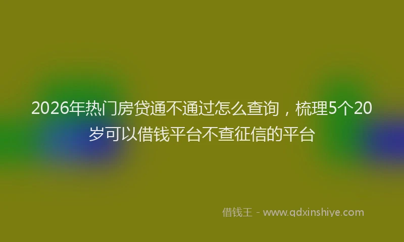 2026年热门房贷通不通过怎么查询，梳理5个20岁可以借钱平台不查征信的平台