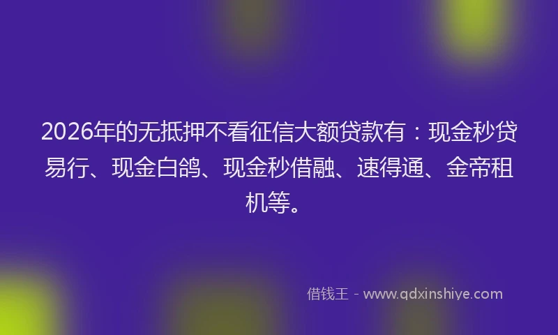 2026年的无抵押不看征信大额贷款有:现金秒贷易行、现金白鸽、现金秒借融、速得通、金帝租机等。