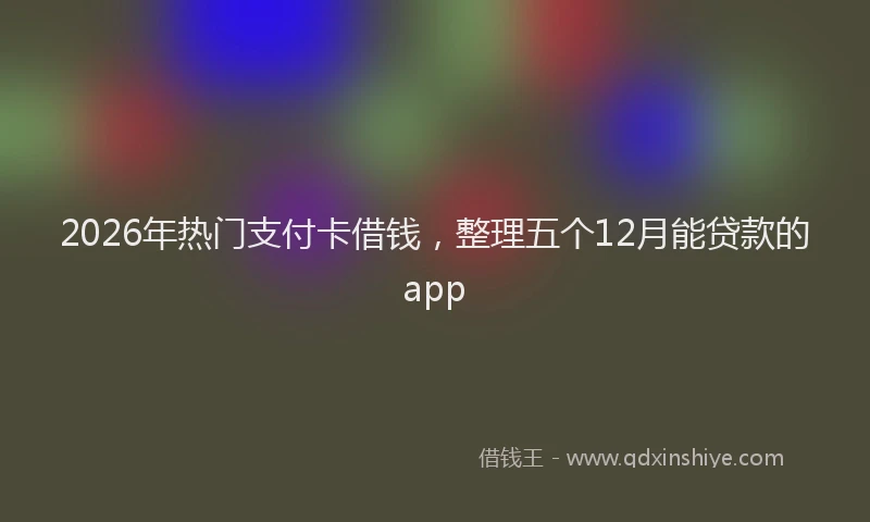 2026年热门支付卡借钱，整理五个12月能贷款的app
