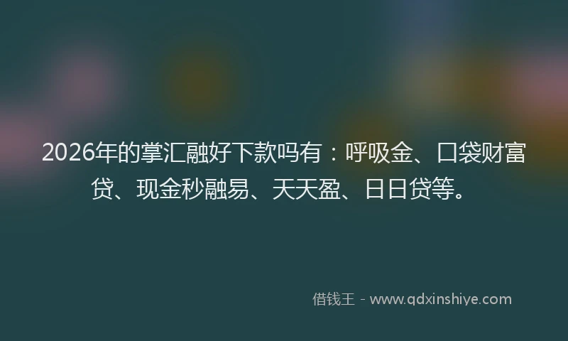 2026年的掌汇融好下款吗有：呼吸金、口袋财富贷、现金秒融易、天天盈、日日贷等。
