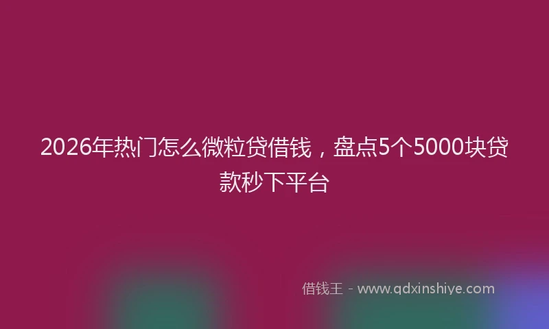 2026年热门怎么微粒贷借钱，盘点5个5000块贷款秒下平台