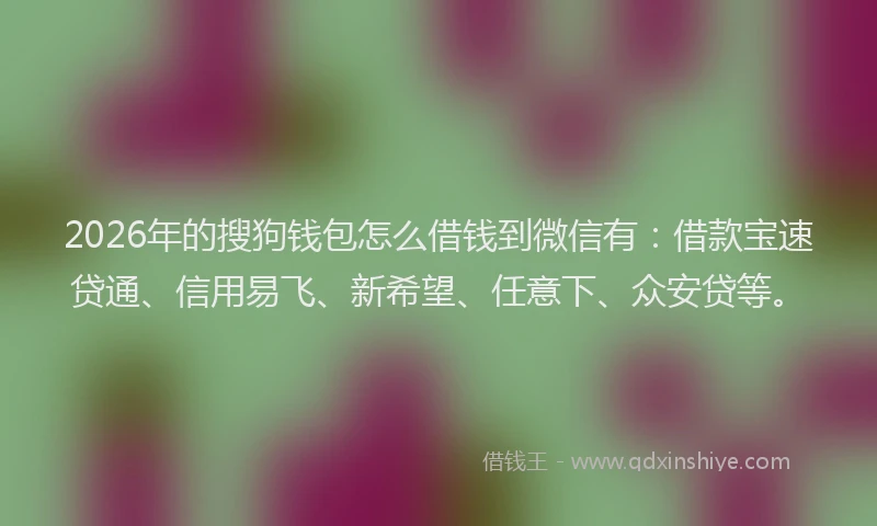 2026年的搜狗钱包怎么借钱到微信有：借款宝速贷通、信用易飞、新希望、任意下、众安贷等。