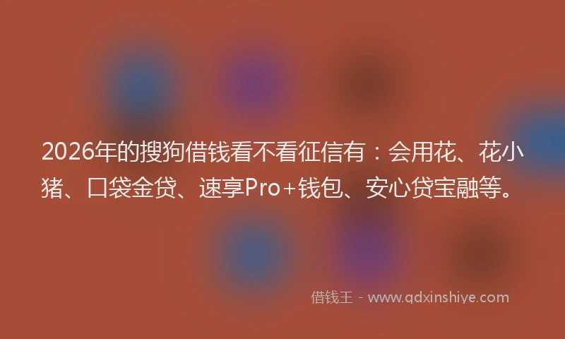 2026年的搜狗借钱看不看征信有：会用花、花小猪、口袋金贷、速享Pro+钱包、安心贷宝融等。