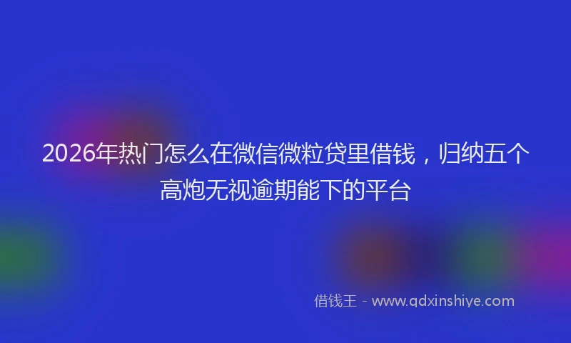 2026年热门怎么在微信微粒贷里借钱，归纳五个高炮无视逾期能下的平台