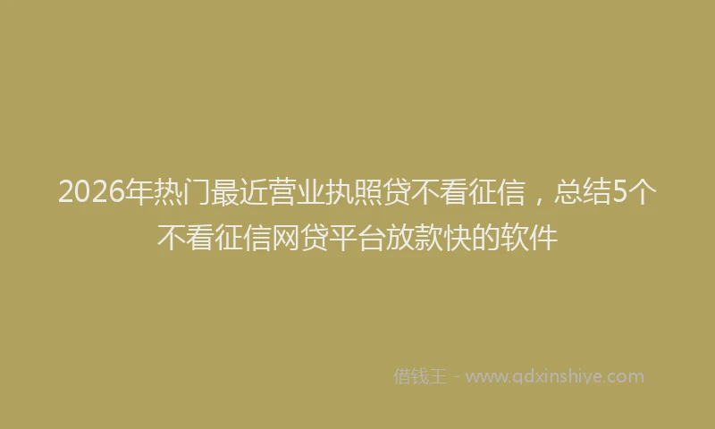 2026年热门最近营业执照贷不看征信，总结5个不看征信网贷平台放款快的软件