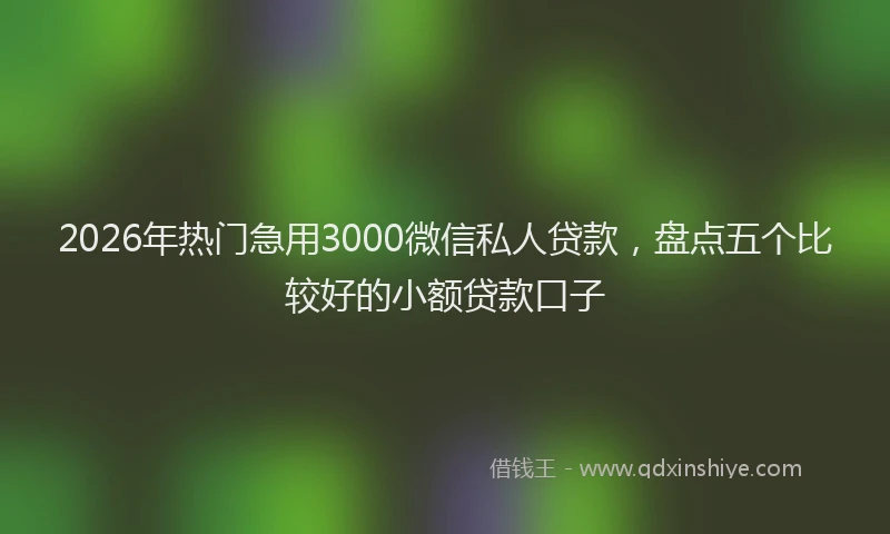 2026年热门急用3000微信私人贷款，盘点五个比较好的小额贷款口子