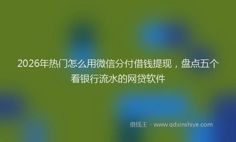 2026年热门怎么用微信分付借钱提现，盘点五个看银行流水的网贷软件