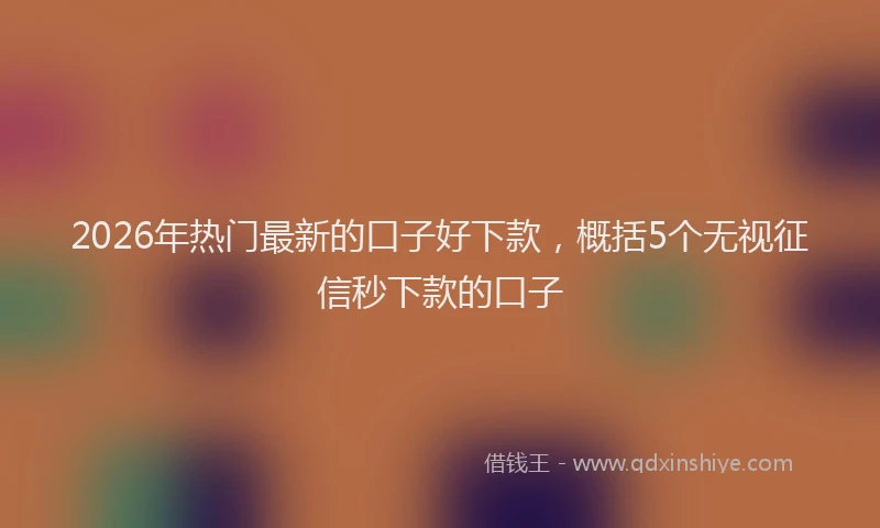 2026年热门最新的口子好下款，概括5个无视征信秒下款的口子