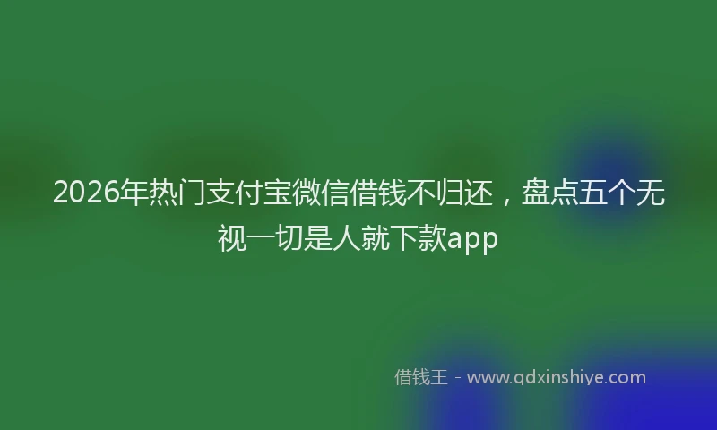 2026年热门支付宝微信借钱不归还，盘点五个无视一切是人就下款app