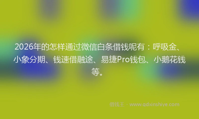 2026年的怎样通过微信白条借钱呢有：呼吸金、小象分期、钱速借融途、易捷Pro钱包、小鹅花钱等。