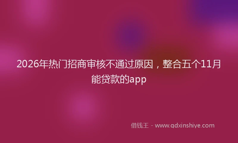 2026年热门招商审核不通过原因，整合五个11月能贷款的app
