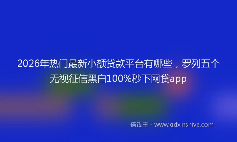 2026年热门最新小额贷款平台有哪些，罗列五个无视征信黑白100%秒下网贷app