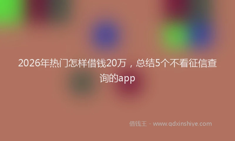 2026年热门怎样借钱20万，总结5个不看征信查询的app