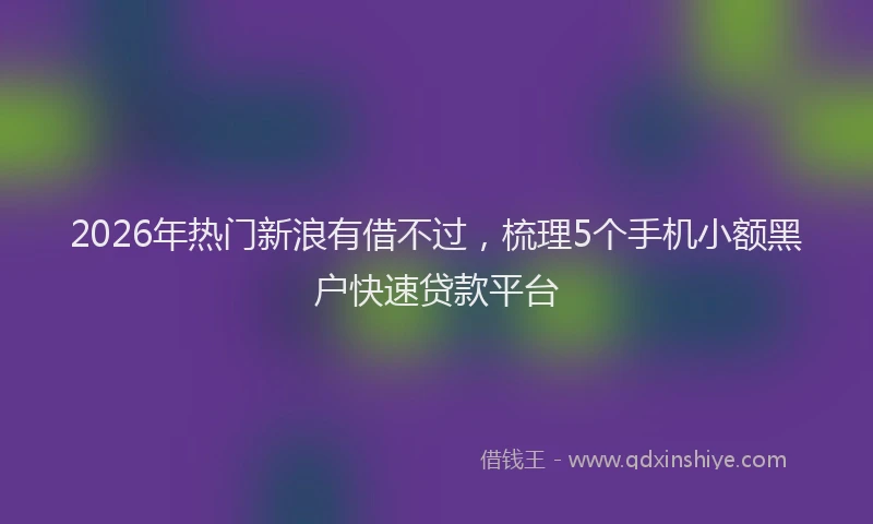 2026年热门新浪有借不过，梳理5个手机小额黑户快速贷款平台