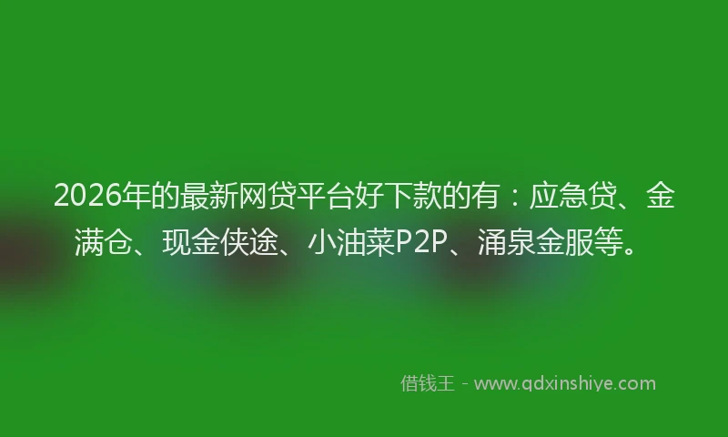 2026年的最新网贷平台好下款的有：应急贷、金满仓、现金侠途、小油菜P2P、涌泉金服等。