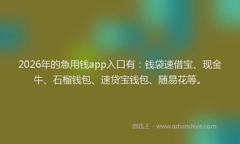 2026年的急用钱app入口有：钱袋速借宝、现金牛、石榴钱包、速贷宝钱包、随易花等。