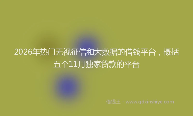 2026年热门无视征信和大数据的借钱平台，概括五个11月独家贷款的平台
