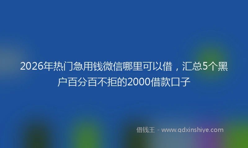 2026年热门急用钱微信哪里可以借，汇总5个黑户百分百不拒的2000借款口子