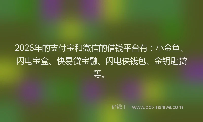 2026年的支付宝和微信的借钱平台有：小金鱼、闪电宝盒、快易贷宝融、闪电侠钱包、金钥匙贷等。