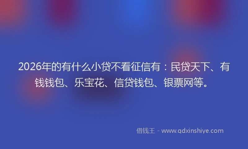 2026年的有什么小贷不看征信有：民贷天下、有钱钱包、乐宝花、信贷钱包、银票网等。