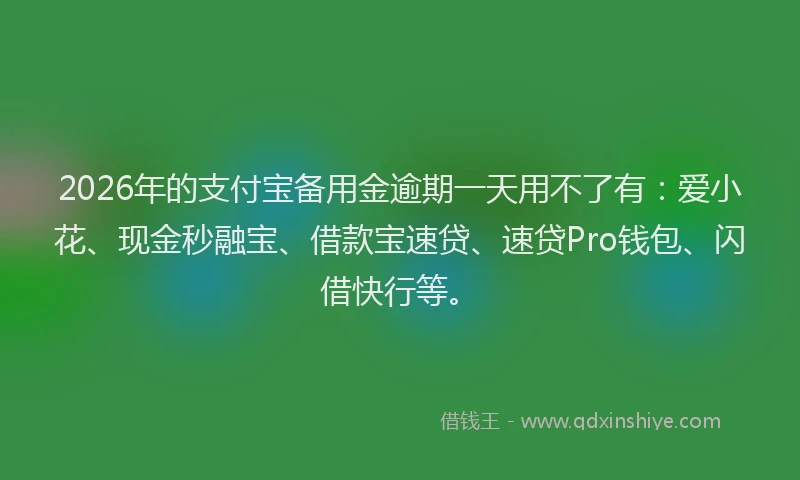 2026年的支付宝备用金逾期一天用不了有:爱小花、现金秒融宝、借款宝速贷、速贷Pro钱包、闪借快行等。