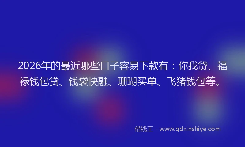 2026年的最近哪些口子容易下款有:你我贷、福禄钱包贷、钱袋快融、珊瑚买单、飞猪钱包等。