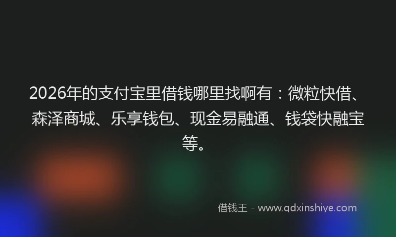2026年的支付宝里借钱哪里找啊有：微粒快借、森泽商城、乐享钱包、现金易融通、钱袋快融宝等。