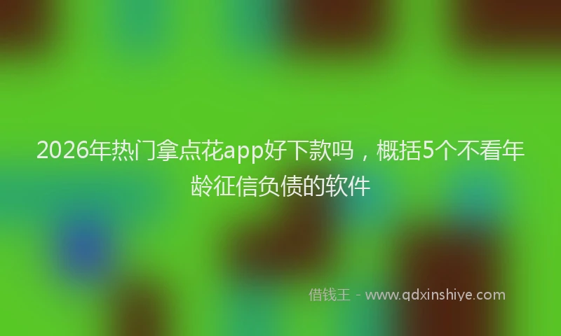 2026年热门拿点花app好下款吗，概括5个不看年龄征信负债的软件
